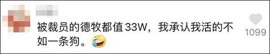 警校|警校售淘汰犬最高拍出33万 网友:狗子没考上,但是包分配