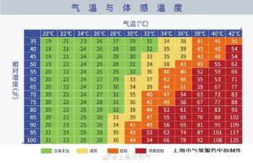 IV|“暴力梅”来势汹汹！上海昨天暴雨，白天如黑夜，一秒变脸