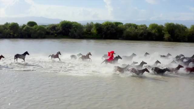 昭苏县|为了拍宣传家乡的好片，新疆网红女副局长策马时摔河里