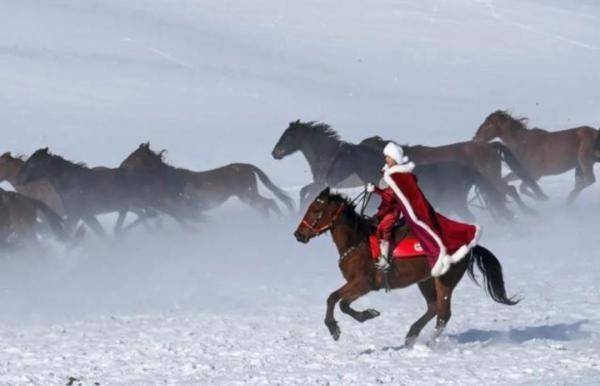 昭苏县|为了拍宣传家乡的好片，新疆网红女副局长策马时摔河里