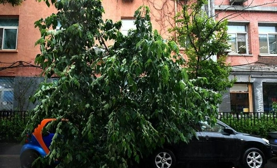 强降雨|多地降雨量破历史极值 未来一周降水将集中在这里