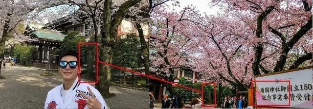 靖国神社|张哲瀚道歉:我不亲日 我是中国人 在日乃木神社参加友人婚礼引争议