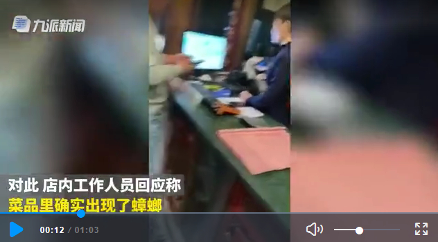 ■男子饭店吃出蟑螂,碗被老板抢走,惊动了警察仍调解未果