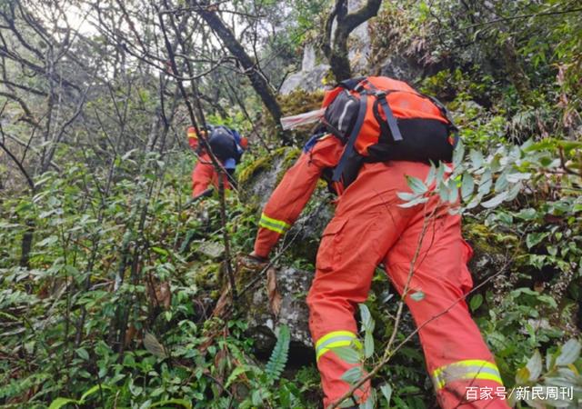 张金榜|失温或是罪魁祸首？“哀牢山”遇难地质人员进山为何穿一次性雨衣