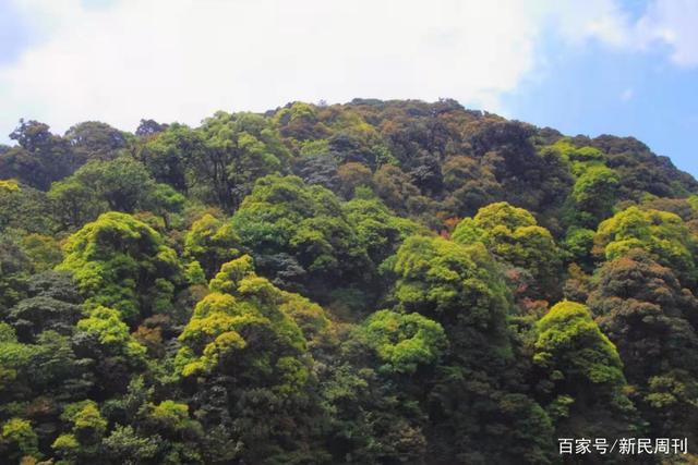 张金榜|失温或是罪魁祸首？“哀牢山”遇难地质人员进山为何穿一次性雨衣