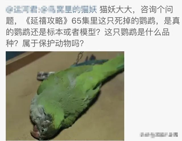 ■演技过于逼真？《当家主母》拍摄时毒死真猫？剧组紧急回应