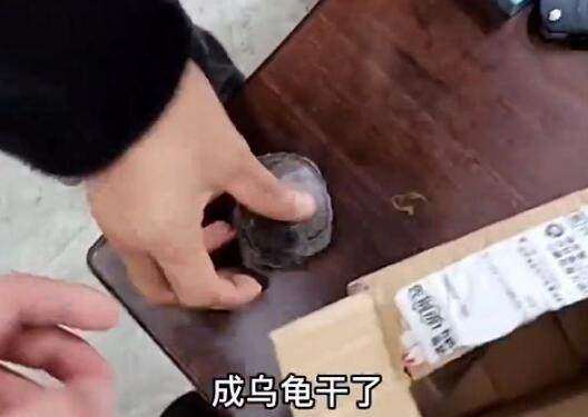 ■买家无语，网友质疑邮寄活物！乌龟从湖南快递到东北冻成乌龟干