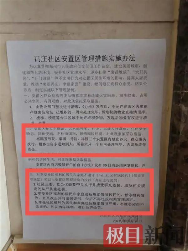 小区|郑州一社区全面禁止养狗引质疑 业主:遛狗小心翼翼,半夜偷着遛