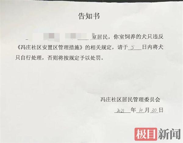 小区|郑州一社区全面禁止养狗引质疑 业主:遛狗小心翼翼,半夜偷着遛