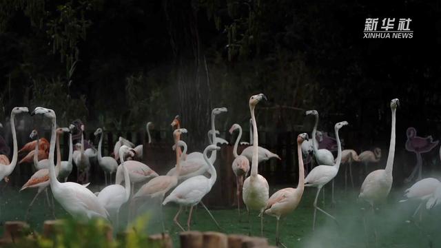 https://pics0.baidu.com/feed/4610b912c8fcc3ce5df129f83df07e82d53f200c.jpeg?token=dd0a094c43fb942e922f527dbf03e538