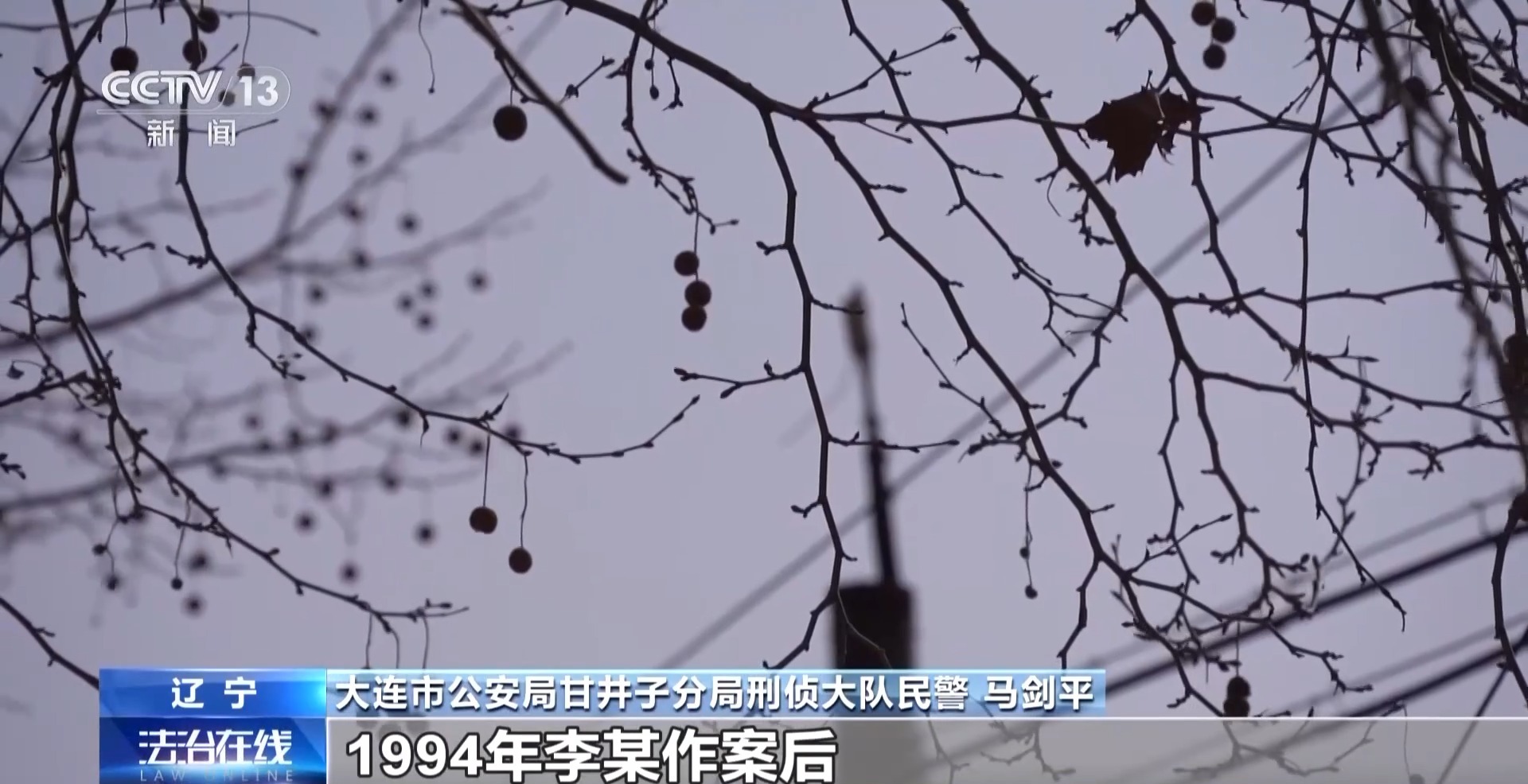 https://p2.img.cctvpic.com/photoworkspace/contentimg/2025/06/11/2025061113465995408.jpg