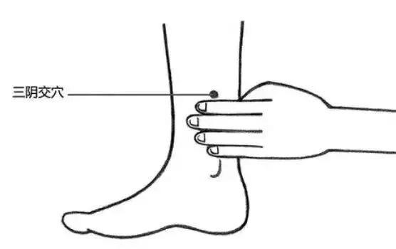 https://p1.img.cctvpic.com/photoworkspace/contentimg/2026/09/23/2026092306293648833.jpg