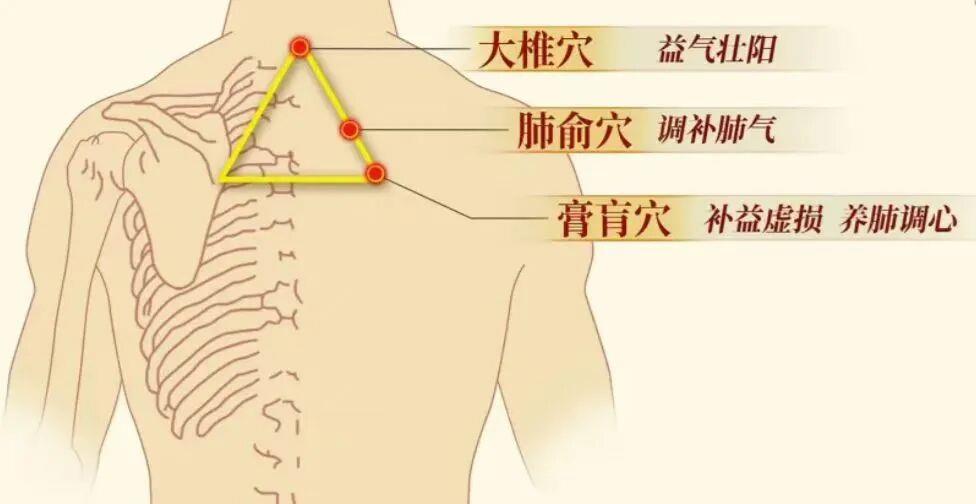 https://p2.img.cctvpic.com/photoworkspace/contentimg/2026/09/23/2026092306293644164.jpg