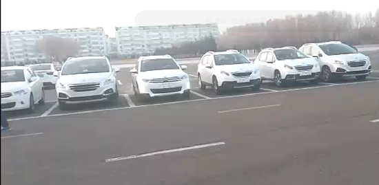 车主维权