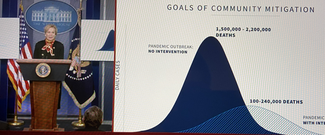 【预印本】美国确诊数居全球首位，纽约州从中国订购1.7万台呼吸机