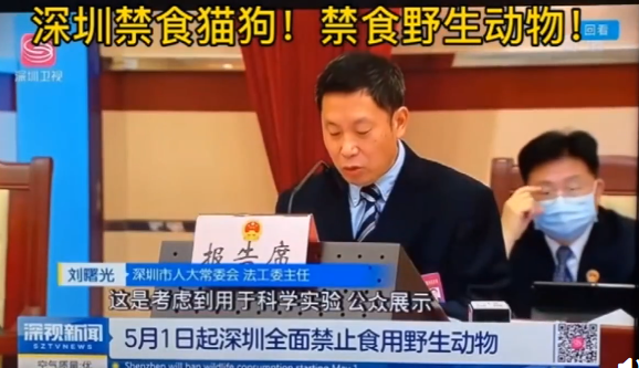 #猫狗#这一天终于来了！深圳立法禁食猫狗，又一次带了个好头