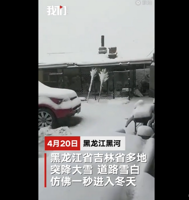「全能型」黑龙江等多地降雪 当地居民直呼：雪太大，出不去屋了