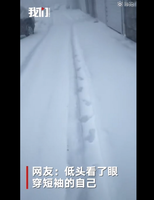 「全能型」黑龙江等多地降雪 当地居民直呼：雪太大，出不去屋了
