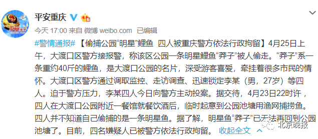 「公园」市民被气哭！重庆大渡口公园的名片、明星鱼”莽子“竟然被吃掉了