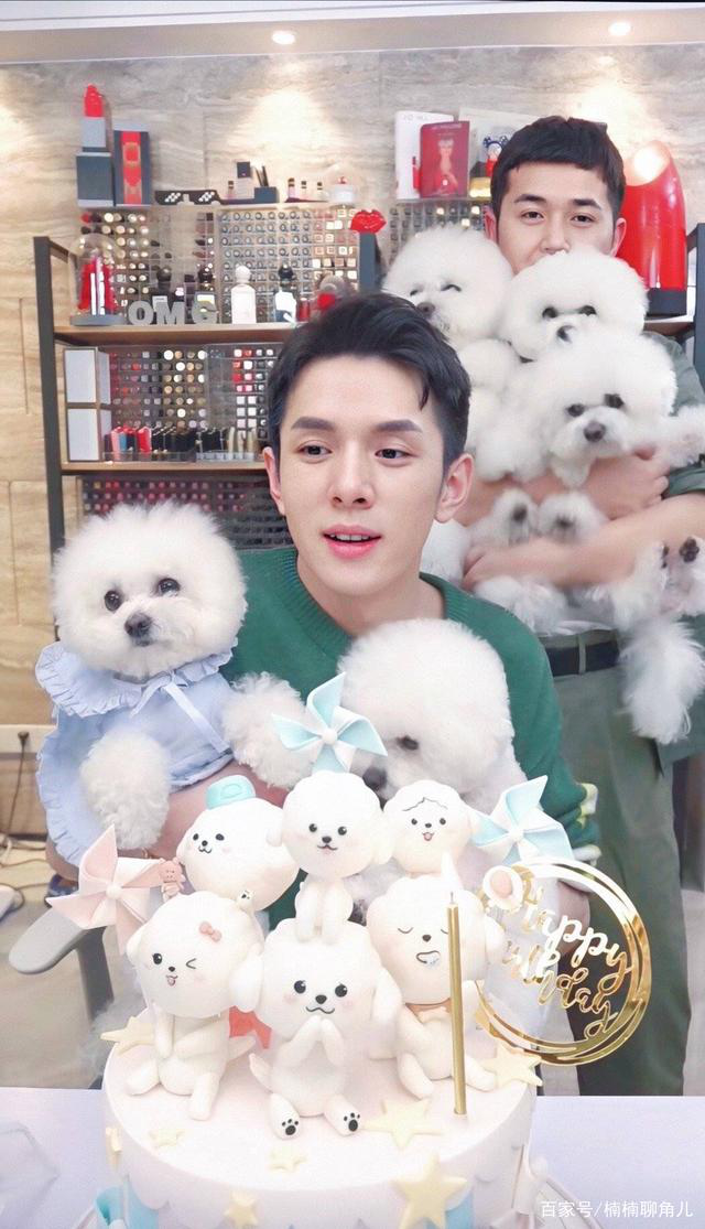 直播:“琦有此理”要变成“鹏程万李”了?李佳琦小助理转幕后做合伙人