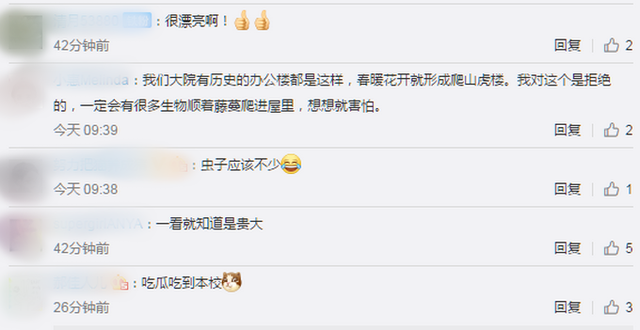 「高校」贵阳高校爬山虎占领9层图书馆 远观如同巨型“绿色瀑布”