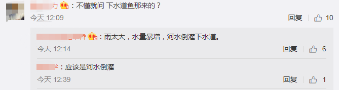 [事发天河]笑喷！暴雨过后的广州，路人班都不上当街捕鱼