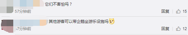 #游客#武汉欢乐谷有两只企鹅游客 网友惊呼：太可爱！