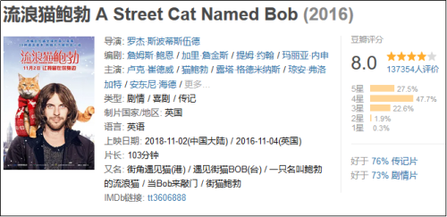 流浪猫鲍勃|