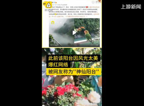 仙气|