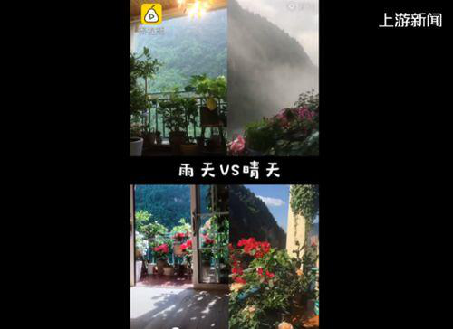 仙气|