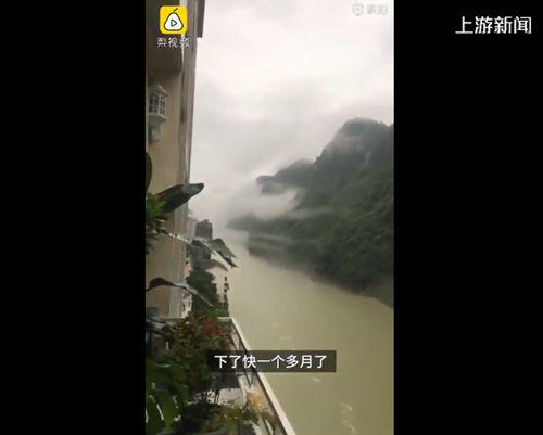 仙气|
