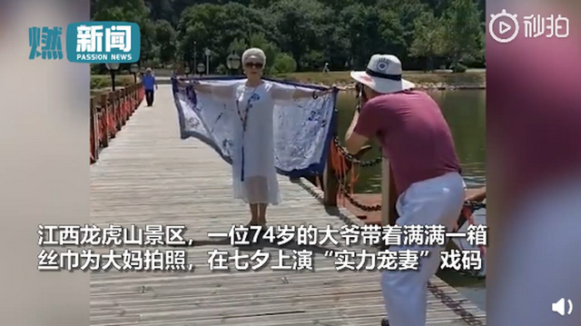 千纸鹤|