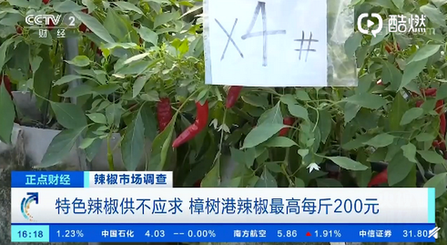 价格总体|