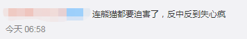 饲喂方式|