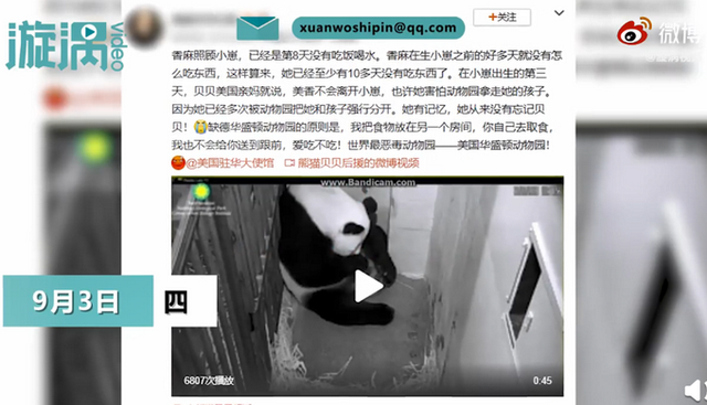 饲喂方式|