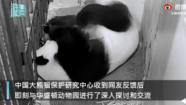 饲喂方式|