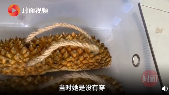 拖鞋|