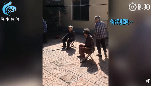 丢手绢|