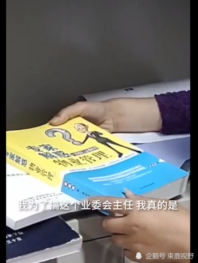 赢官司|