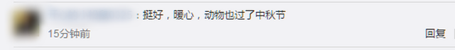 定制|