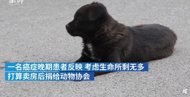 咨询费|怒！武汉一癌症病人咨询捐遗产被收20万？当地回应：将尽快完成案件调查