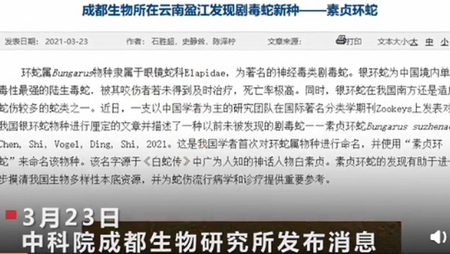 白娘子|网友：是你吗白娘子？中科院给一剧毒蛇新种命名为素贞