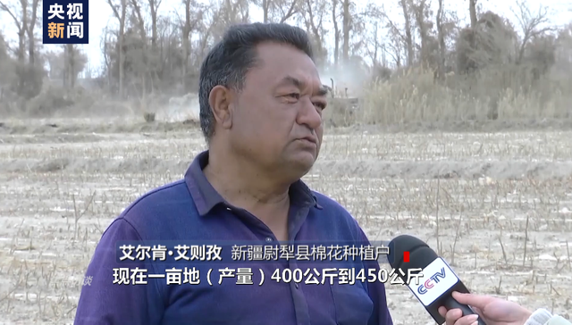 棉花协会|白棉花为何上了“黑名单” “强迫劳动”谎言从何而来？