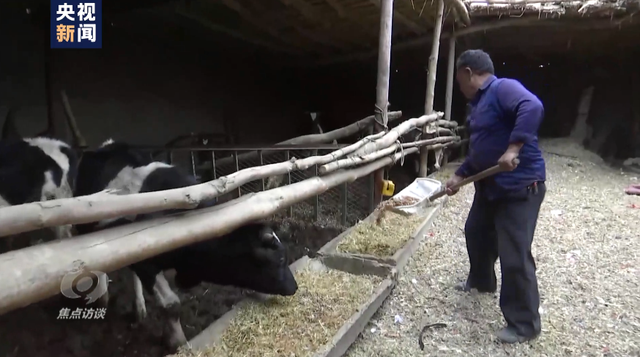 棉花协会|白棉花为何上了“黑名单” “强迫劳动”谎言从何而来？