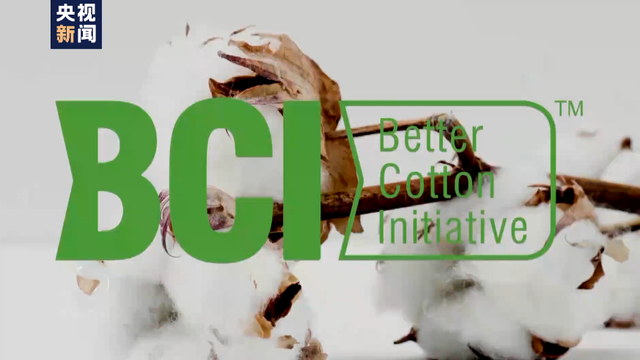 棉花协会|白棉花为何上了“黑名单” “强迫劳动”谎言从何而来？
