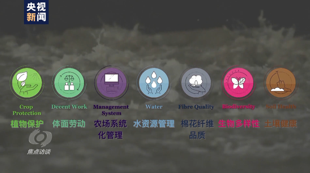 棉花协会|白棉花为何上了“黑名单” “强迫劳动”谎言从何而来？