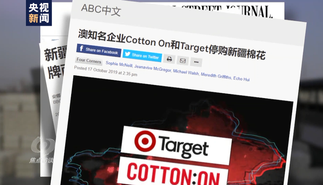 棉花协会|白棉花为何上了“黑名单” “强迫劳动”谎言从何而来？