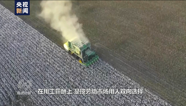 棉花协会|白棉花为何上了“黑名单” “强迫劳动”谎言从何而来？