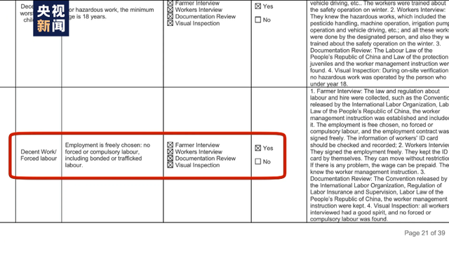 棉花协会|白棉花为何上了“黑名单” “强迫劳动”谎言从何而来？