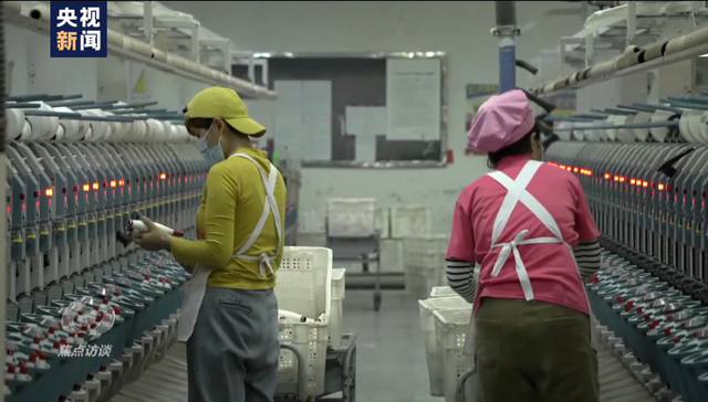 棉花协会|白棉花为何上了“黑名单” “强迫劳动”谎言从何而来？